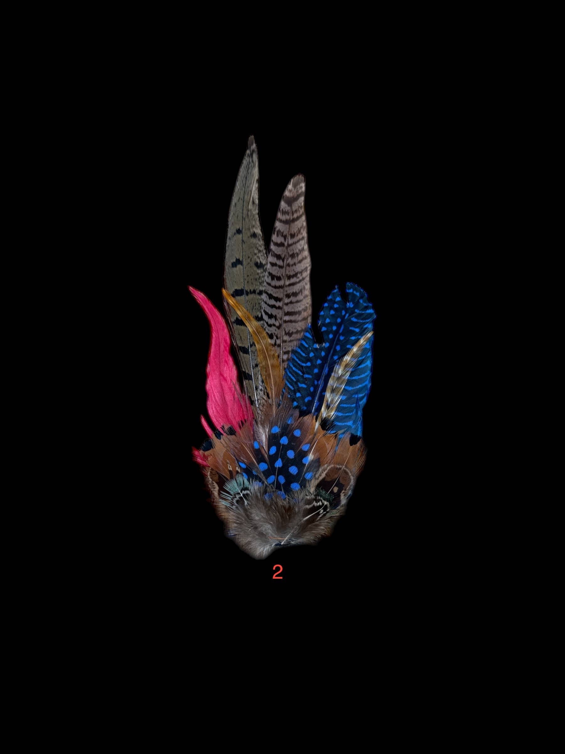 Decorative Side Hat Feathers (Out of SHOTGUN CASING)