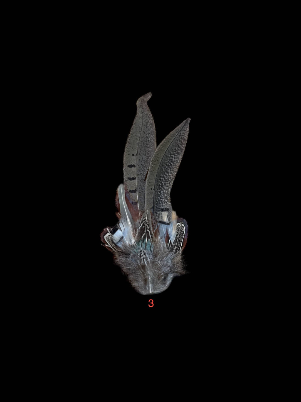 Decorative Side Hat Feathers (Out of SHOTGUN CASING)