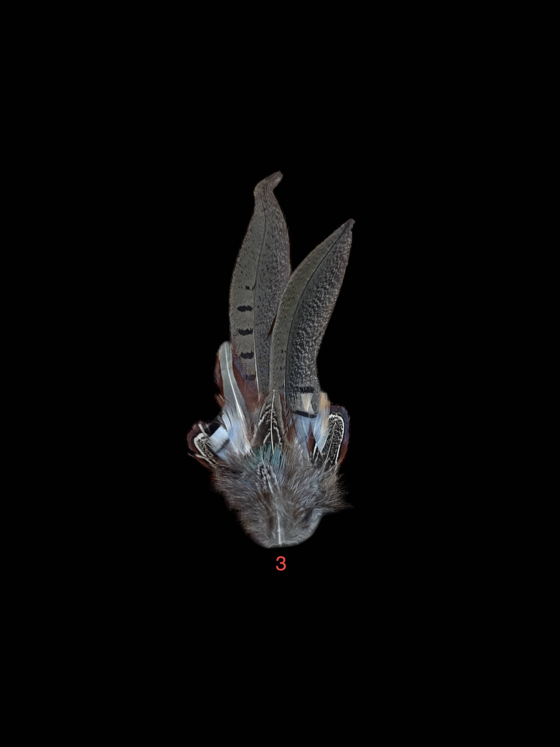 Decorative Side Hat Feathers (Out of SHOTGUN CASING)
