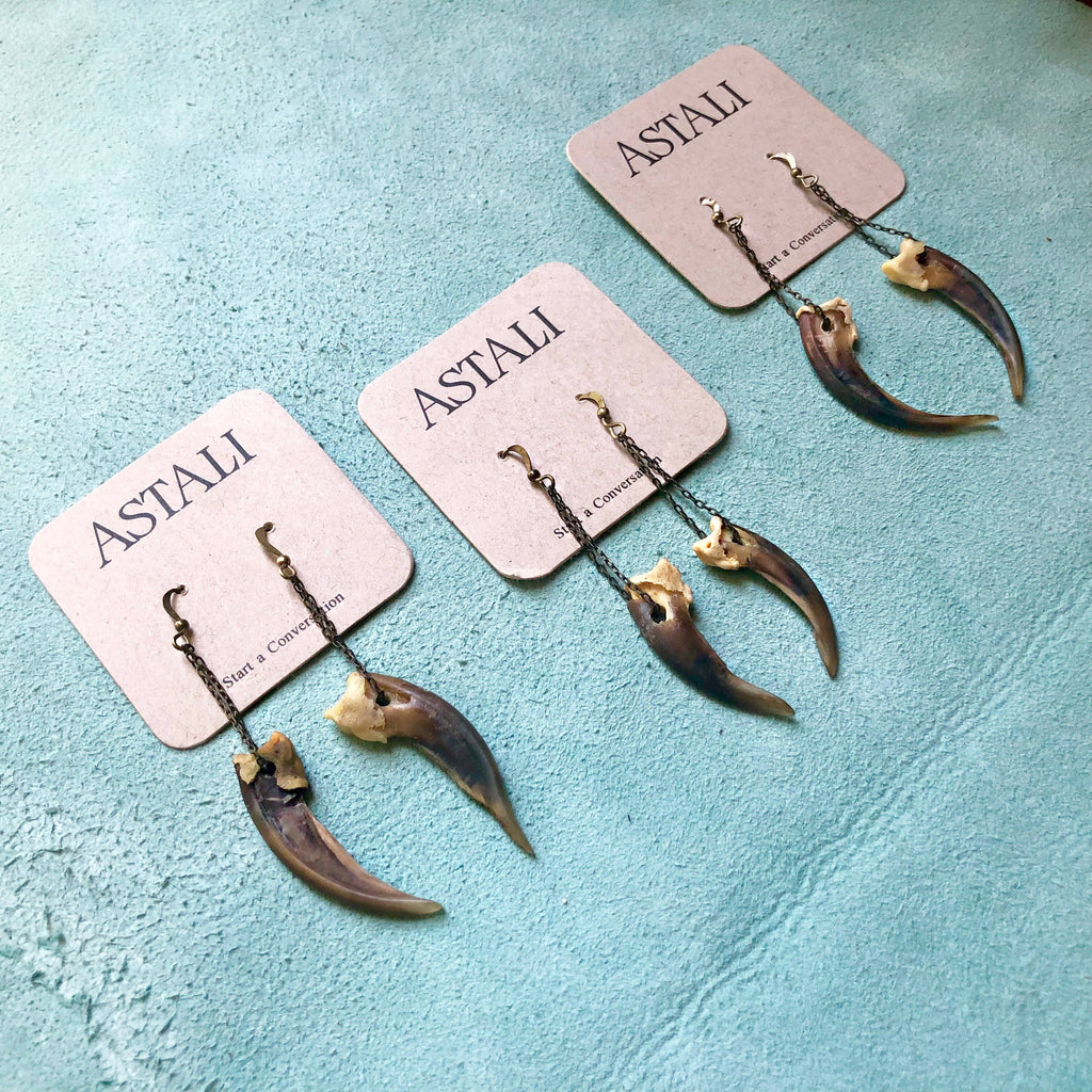 Badger Claw Earrings, Real Claws, Dangle Earrings, Taxidermy