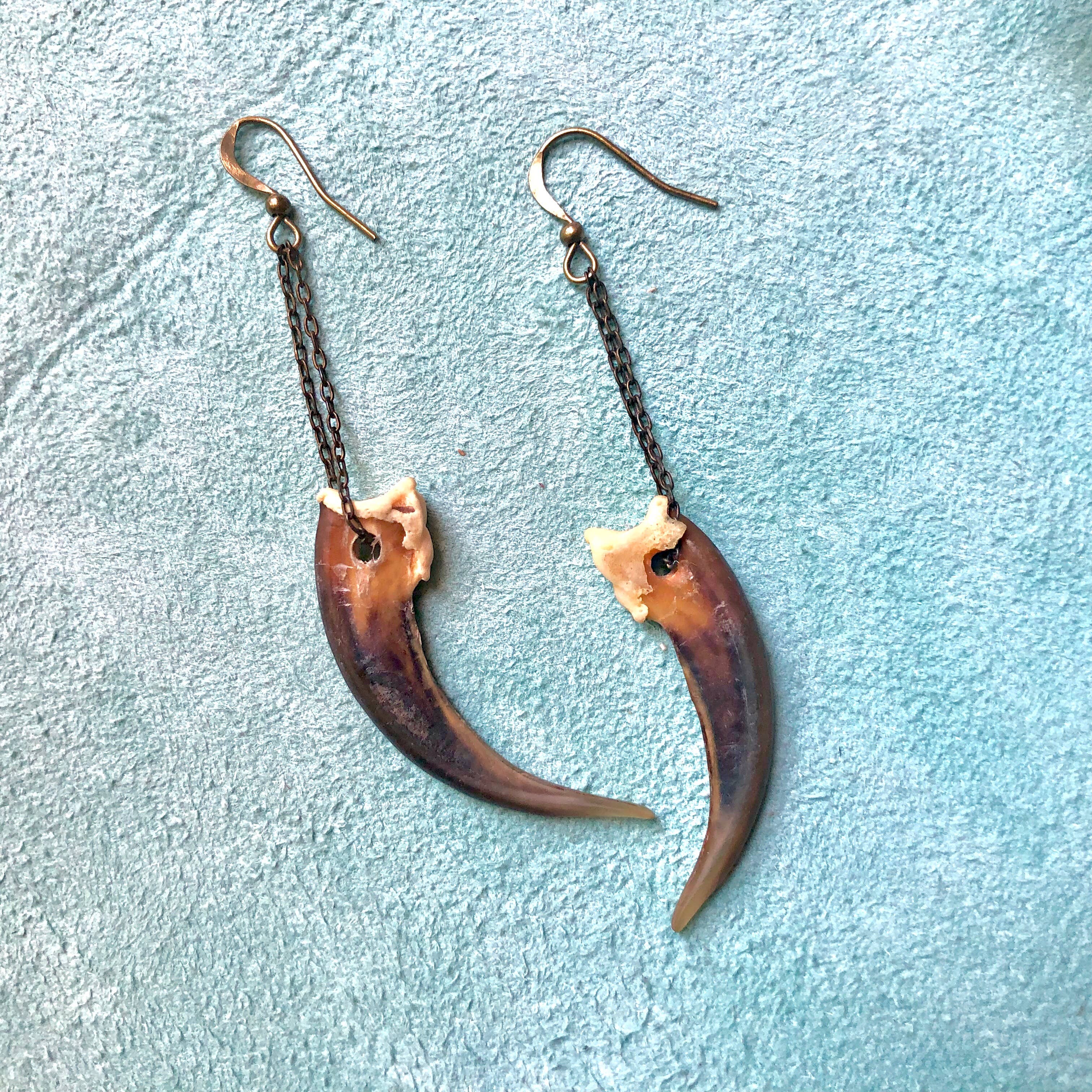 Badger Claw Earrings, Real Claws, Dangle Earrings, Taxidermy
