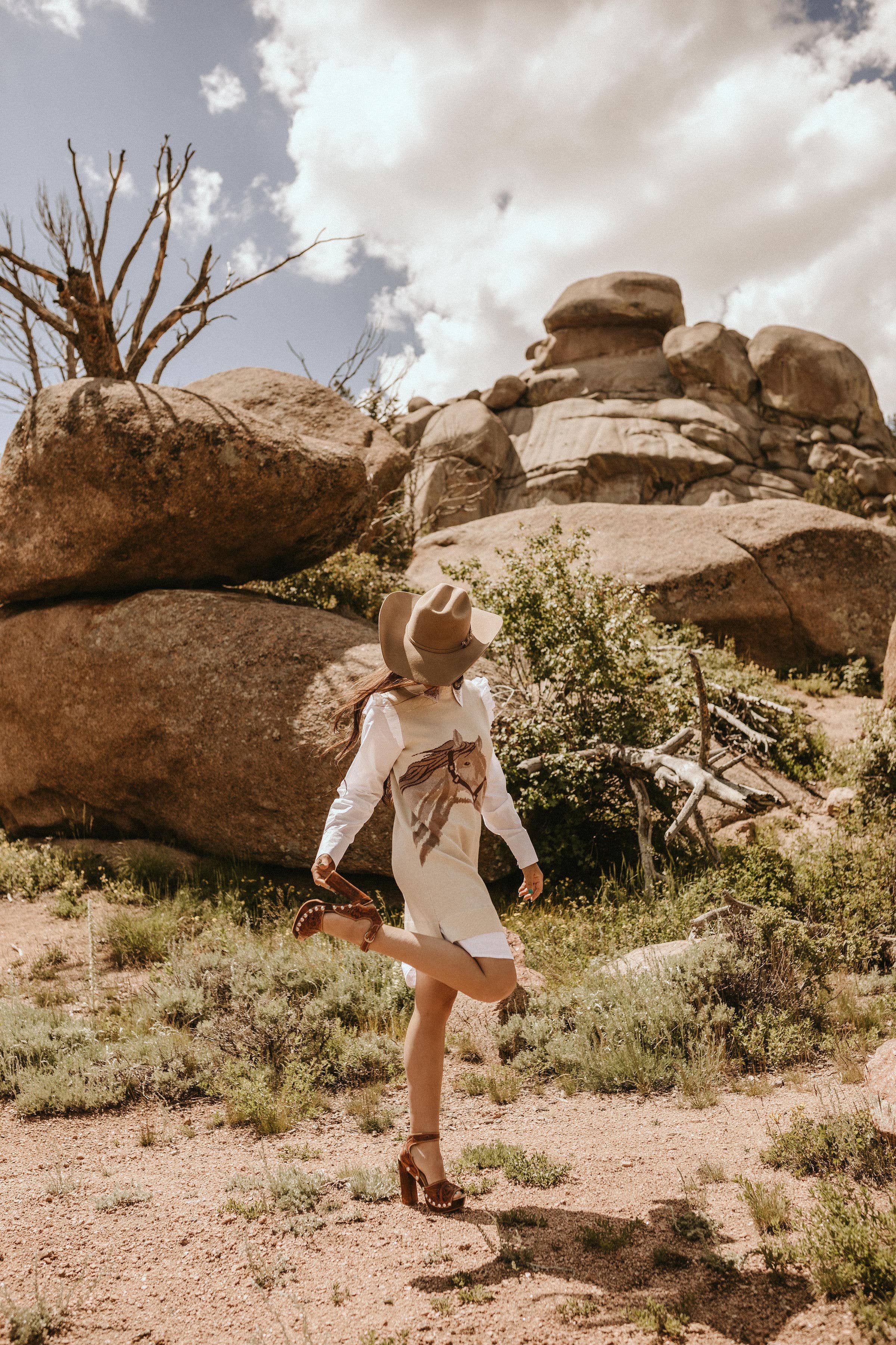 Horse Sweater Dress w/Faux White Ruffled Oxford Dress