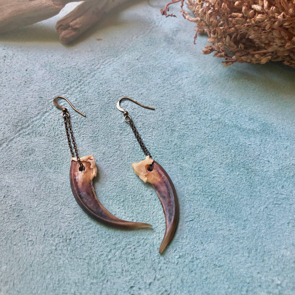 Badger Claw Earrings, Real Claws, Dangle Earrings, Taxidermy