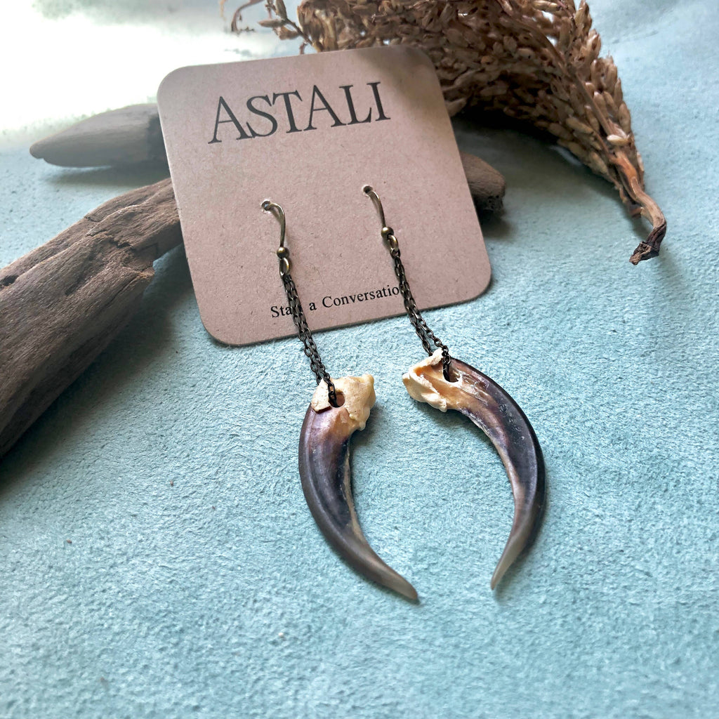 Badger Claw Earrings, Real Claws, Dangle Earrings, Taxidermy