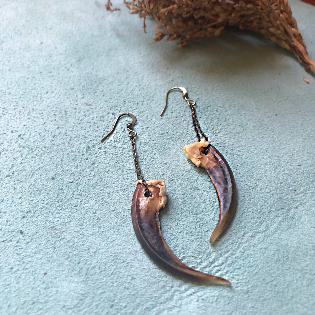 Badger Claw Earrings, Real Claws, Dangle Earrings, Taxidermy