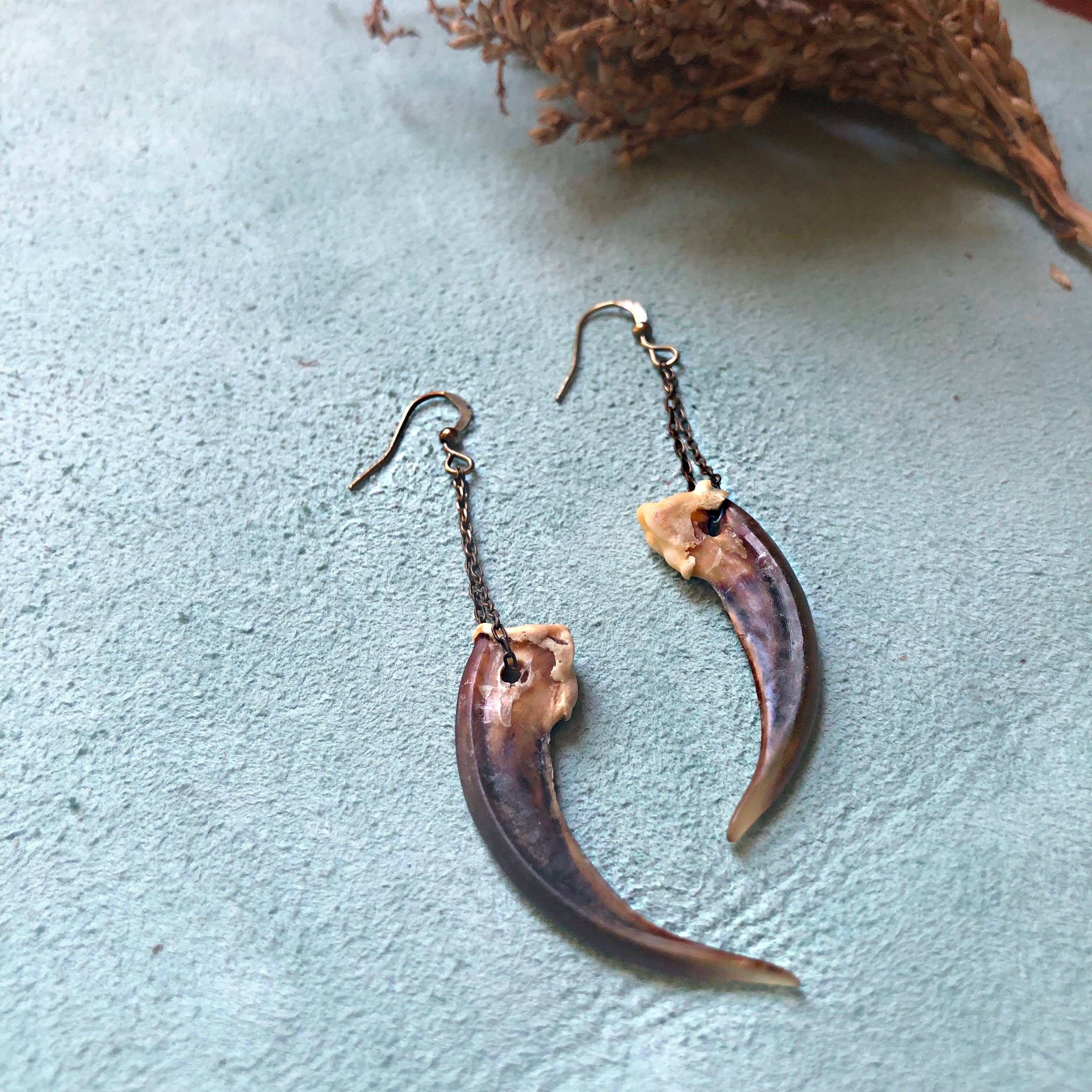 Badger Claw Earrings, Real Claws, Dangle Earrings, Taxidermy